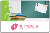 龙文初中课程